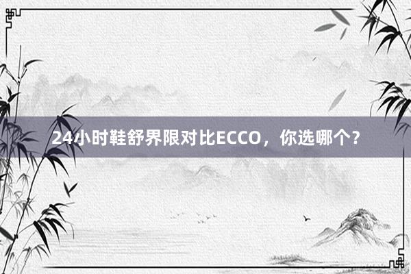 24小时鞋舒界限对比ECCO，你选哪个？